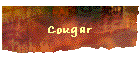 Cougar